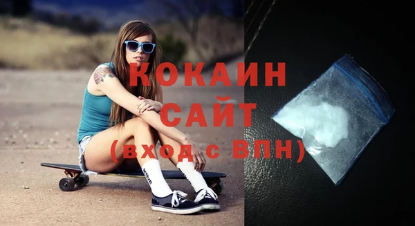 шишки Армянск
