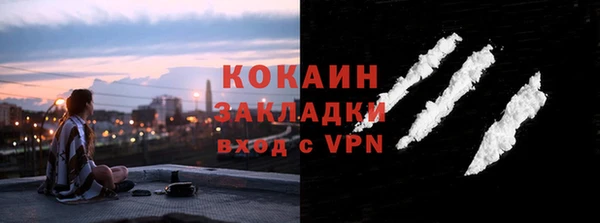 шишки Армянск