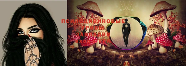 мдпв Саяногорск