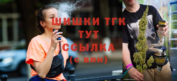 тгк Арсеньев